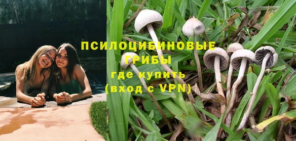 кокс Костерёво