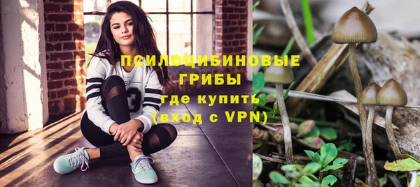 молекула духа Корсаков