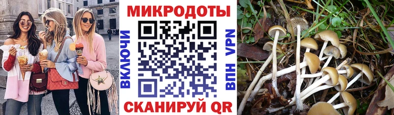 Псилоцибиновые грибы прущие грибы  Купить закладки  Кохма 